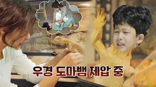 격렬한 우경 도마뱀🦎 똑같이 솔루션하는 이지현(Lee Ji Hyun) 내가 키운다(naeki) 23회 | JTBC 211222 방송