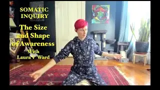 Somatic Inquiry - The Size and Shape of Awareness