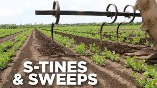 What Are S-Tines & Sweeps? - 1 Minute Overview
