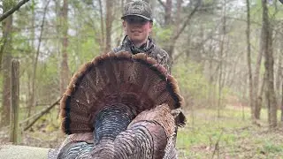Huge 3 year old gobbler coming in with a hen! Jack gets it done.