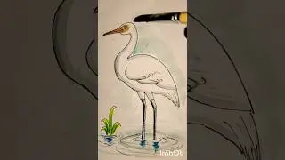 How To Draw Heron Bird Step By Step With Water Colour #art #drawing #draw #painting #watercolor