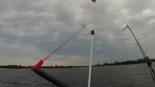 Maverick 2 7qm