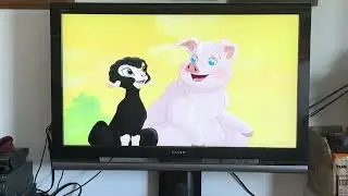 Opening to blue&rsquo;s clues blue takes you to school DVD USA 2003 