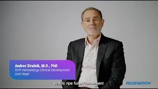 Behind the Science:  From Messy Bench to Hematology Research Breakthrough