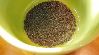 Planting Poppy Seeds | Direct-Sown Poppies in Winter | Spring Bulb Sprouts | Cottage Flower Gardens