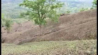 BUHAY FARMER