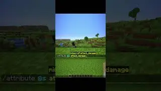 Minecraft Crazy Commands Moment 💀