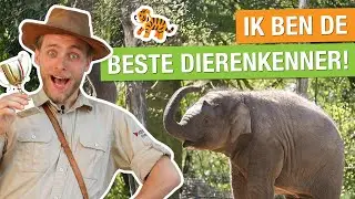 8 DIERENWEETJES DIE JE NIET VERWACHT 🤩🐘 | Op pad met Niels #30