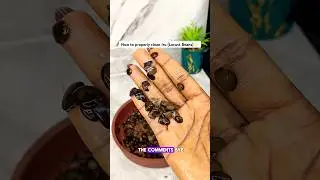 How to Praperly Wash Iru (Locust Beans) | Easy Cleaning Method  #shorts #youtubeshorts #airhescorner