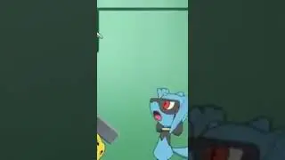 Ash catch Rialoo
