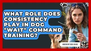 What Role Does Consistency Play In Dog 