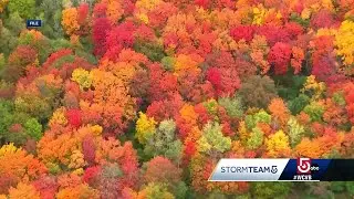 New England fall foliage forecast 2023