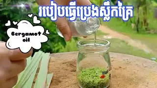 How to fermentation lemongrass essential oil at home?