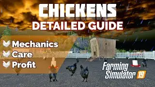 Chickens: detailed guide | Mechanics, Care, Profit | Farming Simulator 19