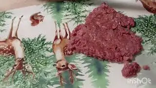 ŁOWCA OD KUCHNI TATAR Z SARNY#hunting #wildlife #hikmicro 