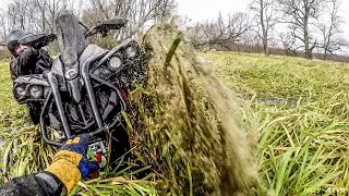 2018 Can Am Renegade XMRs in a grassy pool
