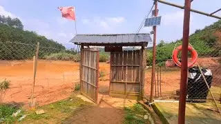 小伙深山养甲鱼，自己种菜和果树准备住山里，守着不让它们跑了#农场生活 #果树管理 #我的乡村生活