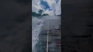 Waterfall Abseiling | Sri Lanka 🇱🇰            #adventure  #abseiling #sankalpabandara