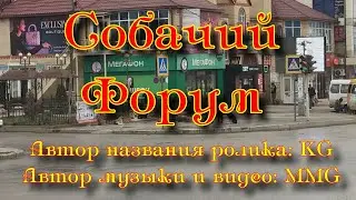 Собачий форум - Dog forum