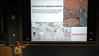 Mary Silber: Self-Organized Vegetation Patterns in Drylands (April 3, 2025)