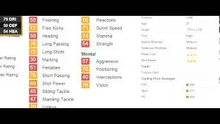 Fifa 13 Underrated player Review