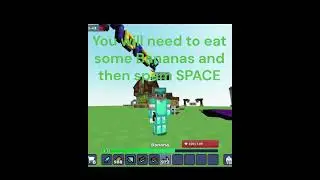 🪽 How to fly in Survival with no HACKS! 🪽