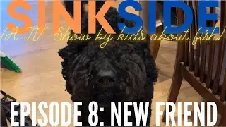 Sinkside - Episode 8: New Friend
