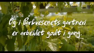 Parkvesenets gartneri - hjertet av blomsterbyen