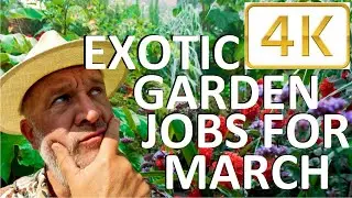 Tropical Gardens UK  Exotic Garden Jobs for March   4K HD