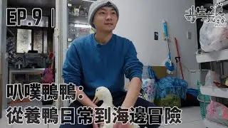 共生流浪2.0計畫｜EP.9 叭哺鴨鴨：從養鴨日常到海邊冒險！ ｜ 叭哺爸、 叭哺｜養鴨人家、海邊、鴨子