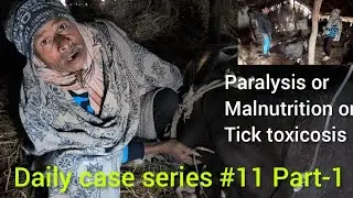 Daily case series #11/paralysis /malnutrition /Tick toxicosis /Dr.Vijay Verma 