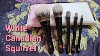 Koyudo White Canadian Squirrel Brush Set Demo & Review. Raffle for WCS Large Eye Brush