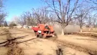 Pecan Harvester