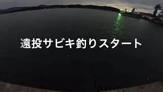 【カゴ釣り】磯がダメなら波止に行く