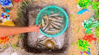 I Caught A Lot Of Fish And A Turtle From A Small Pond With My Hands