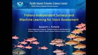 Fishery-Independent Surveys and Machine Learning for Stock Assessment