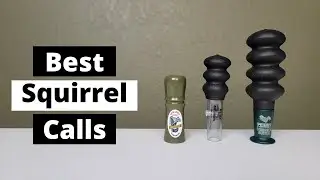Top 4 Best Squirrel Calls for Hunting in 2022