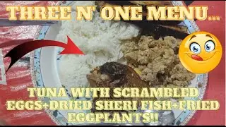 THREE IN ONE - TUNA WITH SCRAMBLED EGGS+FRIED DRIED SHERI FISH+FRIED EGGPLANTS.