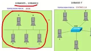 Toplogias Fiscas vs Logicas
