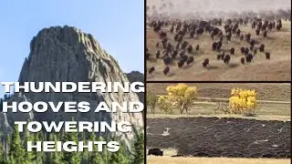 Legendary Buffalo Roundup and Little Devils Tower