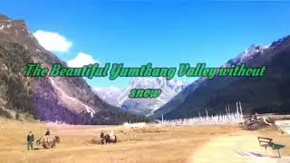 The Yumthang Valley or Sikkim Valley of Flowers sanctuary, #NatureWithGear