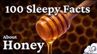 The Most Relaxing Facts About Honey to Fall Asleep To