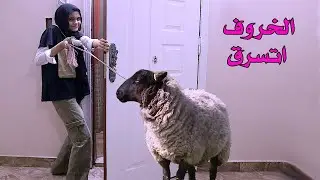 خروف العيد اتسرق