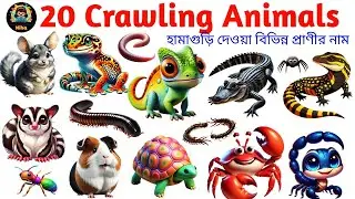 Crawling Animals for Kids | Learn 20 Crawling Animals in English | Toddlers & Preschool