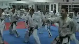 Taekwon-do ITF: A Day Training With Master Alexandris part 1