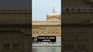 ✨ El majestuoso Templo Dorado en Amritsar ✨