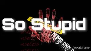 So Stupid