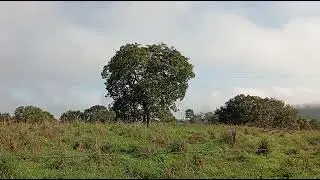 Dia muito feliz na fazenda gratidão 