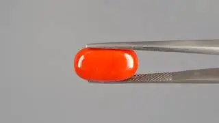 Certified Natural Italian Red Coral | 8.31 Carat | CC-5937 | MyRatna