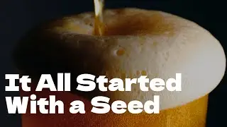 The Discovery of Wheat: The Seed That Changed Humanity  #wheat